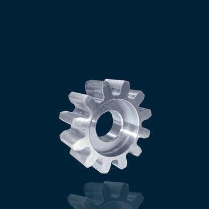 Module 6 (optional)