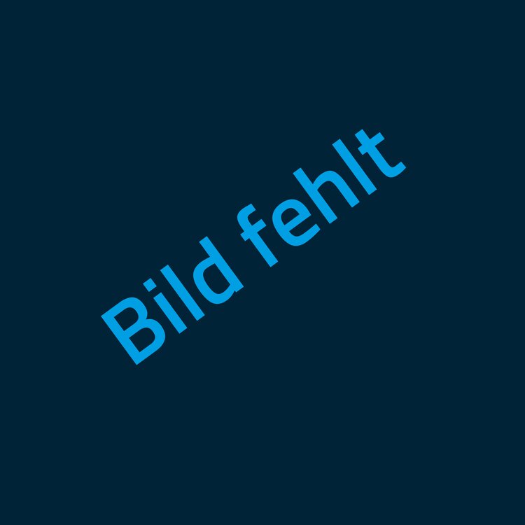 Schelle Pendelstütze Rundbaum S